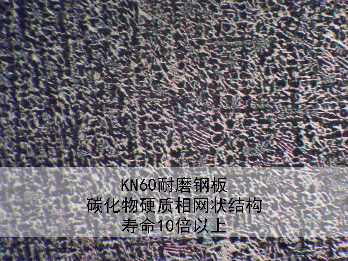 KN60ĥ䓰庸ӹˇԇ